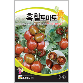 흑찰토마토 씨앗 10립 채소씨앗 텃밭, 1개