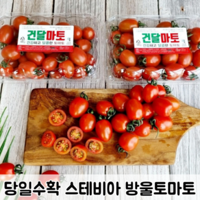 [당일수확] 국내산 신선하고 달콤한 고당도 스테비아 방울토마토 / 스테비아방울토마토 스테비아토마토 토마토 과일 스테비아토마토방울, 1개