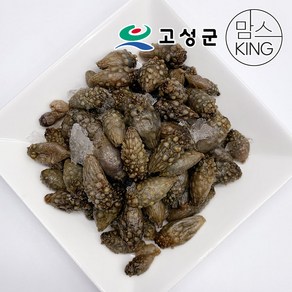 [공룡나라]동성수산 국산 냉동 미더덕(육수용 찌개용) 2kg 경남 고성