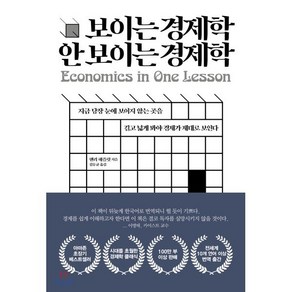 보이는 경제학 안보이는 경제학:지금 당장 눈에 보이지 않는 곳을 길고 넓게 봐야 경제가 제대로 보인다