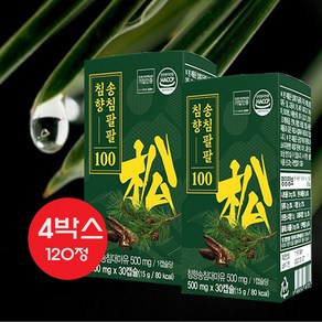 [용량 업그레이드] 침향 송침유 송침팔팔 100, 1세트, 120정