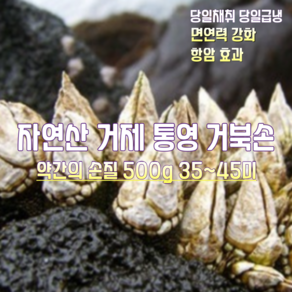 [산지직송] 국내산 자연산 거제 통영 제주 거북손 500g 35~45미, 1박스