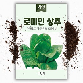 씨앗팜 로메인상추 씨앗 (1500립)채소씨앗 쌈채소