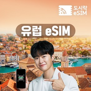 유럽 41개국 통합 이심 eSIM 데이터 무제한 유심 보다폰 이탈리아 프랑스 영국 e심, 500MB/일, 20일, 1개