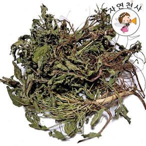 야생 곰보배추200g 직접채취 깨끗한 손질 생곰보배추1kg 2024년 봄 채취 제품(세일상품), 1개, 200g