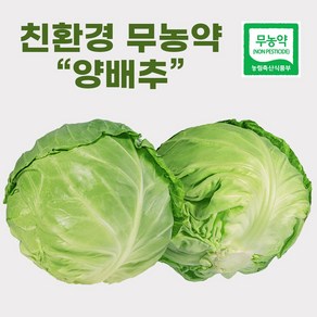 [최상품] 하프팜 친환경 무농약 양배추, 3kg, 1박스