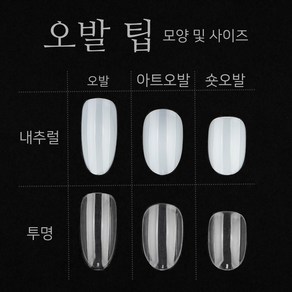 네일 리필 팁 (50입) / 오발 오벌 아트오발 숏오발 패디 인조 손톱