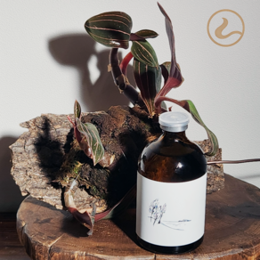 [핸드메이드 주문생산]여온 프리미엄 퍼퓸 디퓨저 호텔향 디퓨져, 1개, 100ml, deep wood