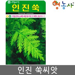 인진쑥 씨앗 1000립 영농사, 1개