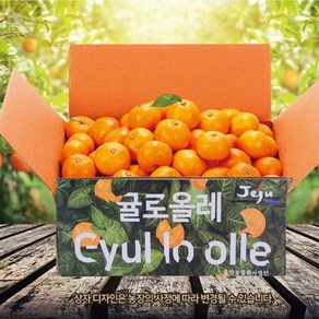 eTV [24년수확]제주 하우스감귤 1.5kg(제주직송), 1개