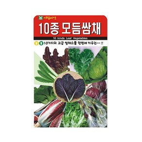 10종 모듬 쌈채 씨앗 1000립 채소 씨 텃밭 야채 키우기