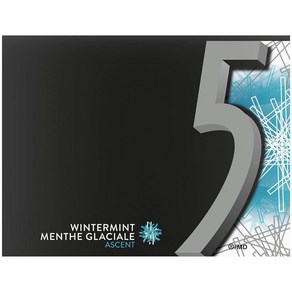 리글리 5 Gum 윈터민트 껌 15피스 1팩, 1개