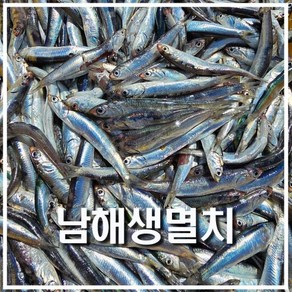 남해 바다 보물섬 해녀 언니네 손질 생 멸치 500g 산지직송 멸치, 1개