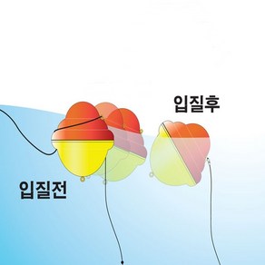 피싱인사이드 자바낚시 [물면 뒤집혀요] 피싱인사이드 카멜레온찌 리베로 고리찌 벵에돔찌