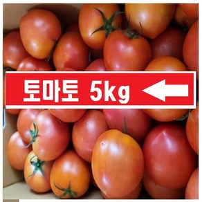 토마토 (주스용 아님 정품)당-일-출고)국내산 오키로, 1박스, 5kg