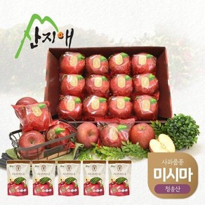 산지애 미시마 사과 2.7kg + 사과주스 5팩, 5개