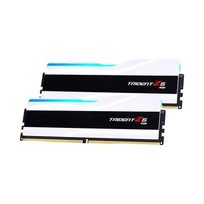 G.SKILL G.SKILL DDR5-6400 CL32 TRIDENT Z5 RGB 화이트 패키지 (32GB(16Gx2)), 2개