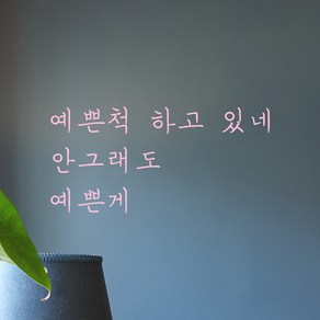 모노먼트 손글씨 감성 레터링 스티커 - 예쁜척 하고 있네 안그래도 예쁜게, 연핑크