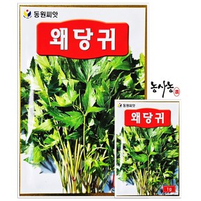 텃밭 농사 주말농장 종자 왜 당귀 씨앗 1g, 1개