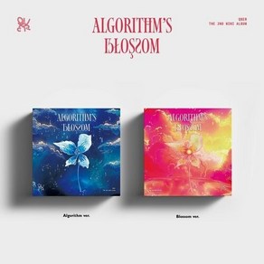 [케이크뮤직] QWER 앨범 (큐더블유이알) - 2nd Mini ALBUM (Algoithms Blossom), Blossom ve. (레드)