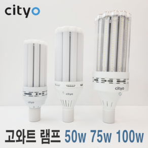 씨티오 LED 공장등 보안등 호박등 파워램프 고와트램프 50W 75W 100W 주광색