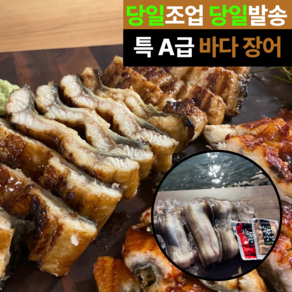 [30박스한정] 물맑은수산 특A급 바다장어 손질, 1개, 1kg