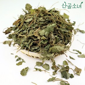 산골소녀 국내산 어성초 셀프 발모팩 재료, 100g, 1개