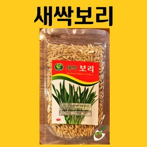 농사친구 새싹보리 씨앗 30g 청농 씨 종자 상추 쪽파 고사리 명이나물 산상추 초당옥수수 항암배추 담배 산마늘 아스파라거스 고수, 1개