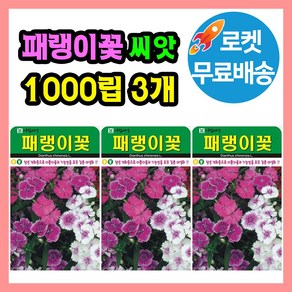 패랭이꽃 씨앗 (합 3000립) 꽃씨 꽃 종자, 3개