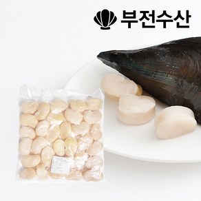 부전수산 냉동 신선한 키조개관자 (개아지살) 1kg 관자 관자구이 관자삼합 관자버터구이 관자찜, 1개, 1kg (16~20개)