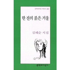 한 잔의 붉은 거울(문학과지성 시인선 288), 문학과지성사, 김혜순