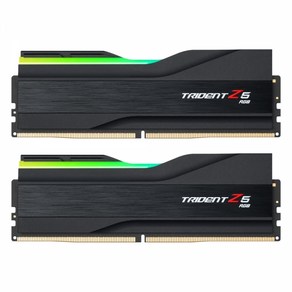 G.SKILL DDR5-6000 CL40 TRIDENT Z5 RGB J 패키지 (48GB(24Gx2)), 2개