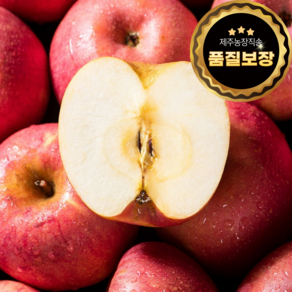 [농장직송] 당도선별 꿀사과 안동 달콤부사 (가정용), 1박스, 꼬마소과 3kg