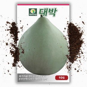 대박 씨앗(10립) 바가지박 박씨, 1개