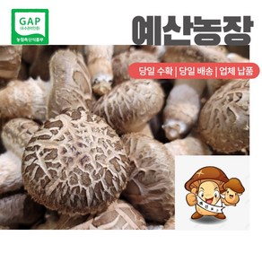 GAP인증 친환경 표고버섯 화고못난이 생 표고 버섯 산지직송 선물추천 끝내주는 이뿐이 특품1kg 명절선물 농장직송 이육식, 이뿐이-대, 1개