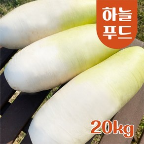 (20kg/Box) 수입산 세척무 식자재 [원산지:중국]