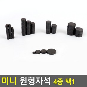 과학실험용 흑자석 미니 원형 자석 교구 학교 교육 마그넷 초등과학 체험학습 부속 학원 실험도구