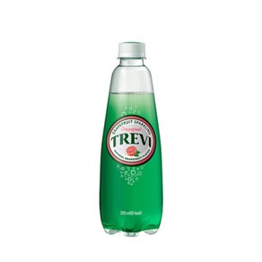 롯데칠성음료 트레비 자몽 500ml, 18개