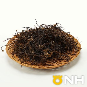 지리산농협 지리산 건고사리 24년 국내산 고사리 600g, 국산 600g, 1개