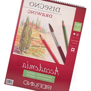 파브리아노 아카데미아 드로잉 스프링 스케치북 200g A5, 1개