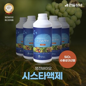 명전바이오 시스타액제 500ml 포도 샤인머스켓 수용성 규산염 비료, 1개