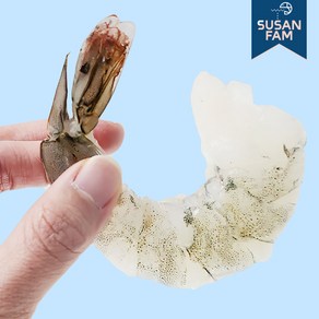 생 칵테일새우 1kg(실중량900g) 생새우살 냉동