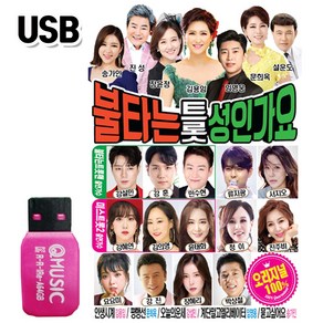 정품음원 USB 불타는트롯 트로트 성인가요 80곡 송가인 임영웅 장윤정