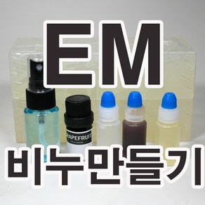 [더위치] 더위치 EM비누만들기키트 (몰드없음) / 이엠비누 만들기세트