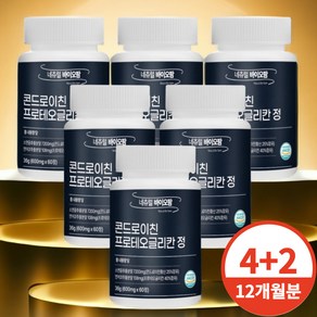 프로테오글리칸 콘드로이친 프리테오글리칸 콘도로이친 600mg