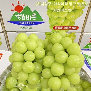 허니삼구 망고맛포도 고당도 당도보장 가정용 선물용 샤인머스켓 2KG내외