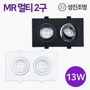 LED MR 멀티 2구 13W 다운라이트 매입등 매립등 화이트 / 블랙 MR 멀티 2구 판넬타입, MR멀티2구_13W_블랙(전구색), 1개