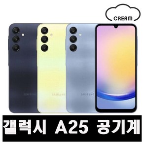 갤럭시 [갤럭시 A25] [128GB] 공기계 중고폰 리퍼폰 알뜰폰 핸드폰 휴대폰, B급,옐로우, 128GB