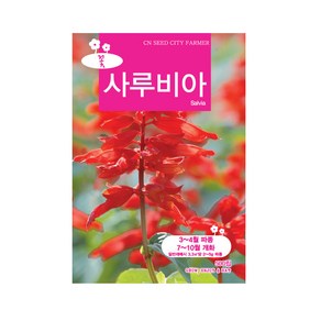 (CN) 사루비아 씨앗 (500립), 1개