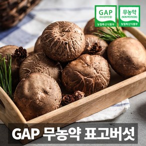 무농약 GAP 금메달농수산 국내산 생표고버섯, 1개, 1kg (파지)